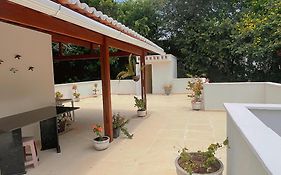 Solar Da Floresta